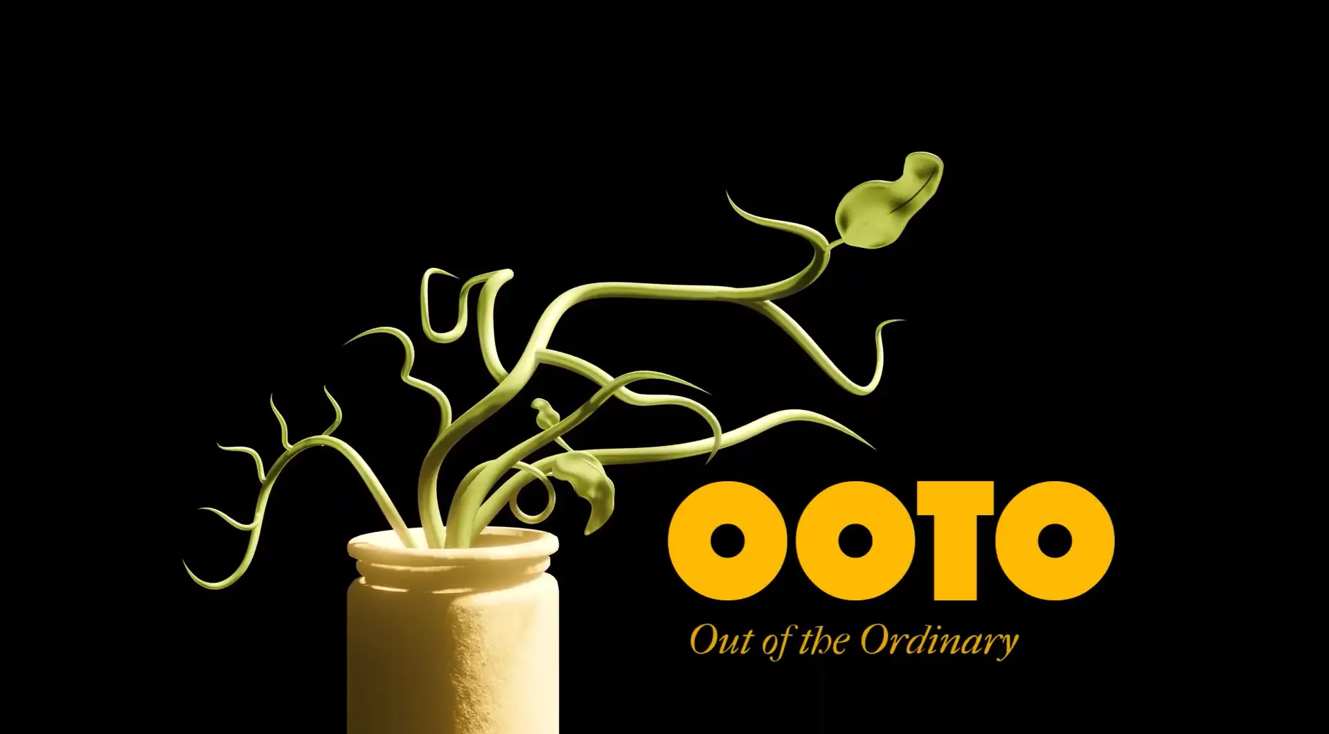 OOTO 